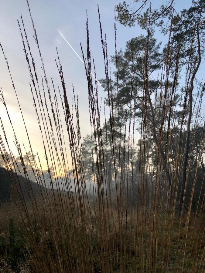 Het Natuurhuisje op de Veluwe Nunspeet Buitenkant foto