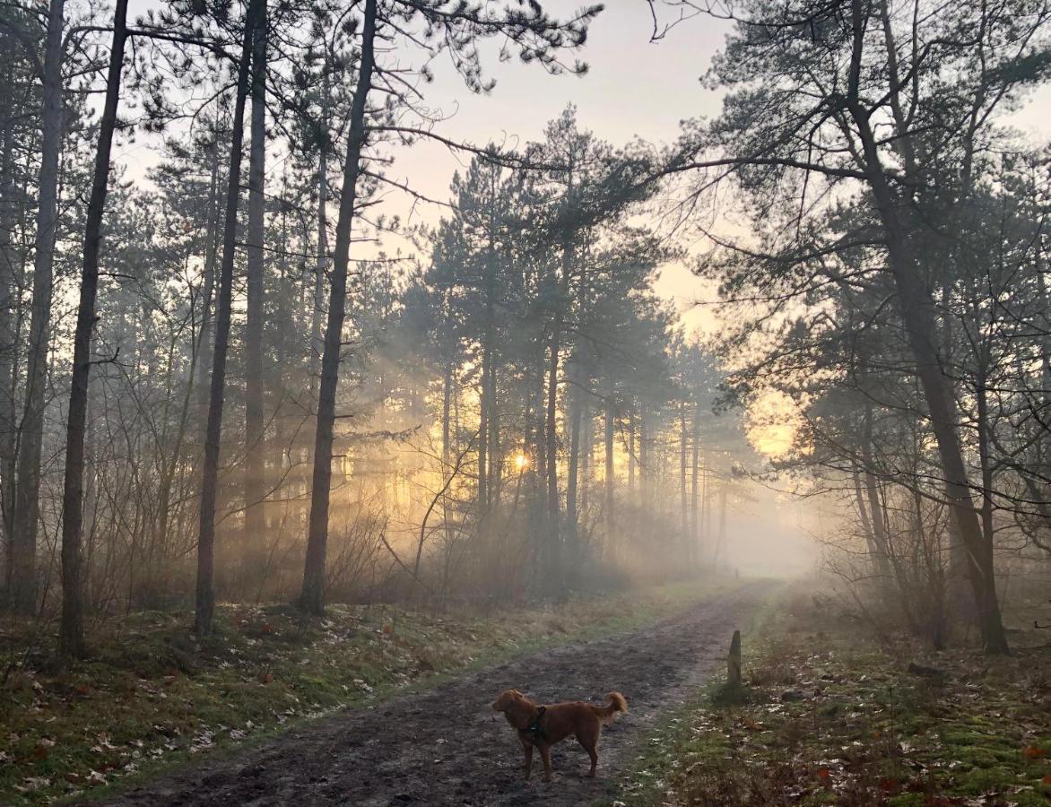 Het Natuurhuisje op de Veluwe Nunspeet Buitenkant foto