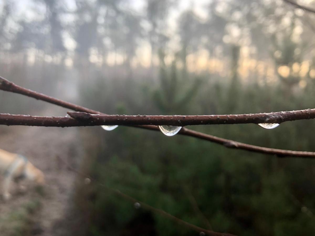 Het Natuurhuisje op de Veluwe Nunspeet Buitenkant foto