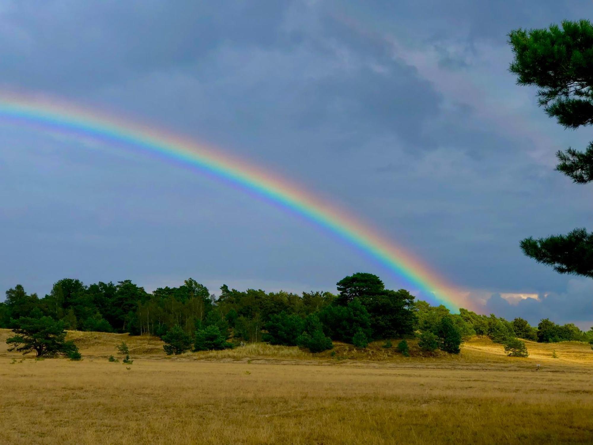 Het Natuurhuisje op de Veluwe Nunspeet Buitenkant foto