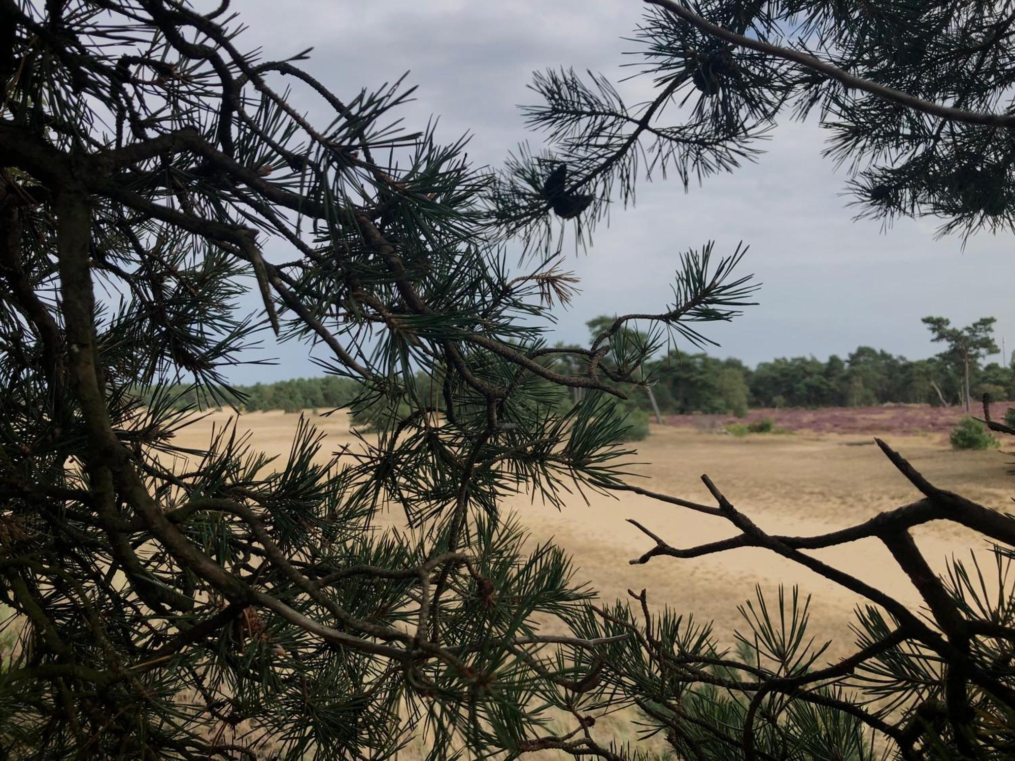 Het Natuurhuisje op de Veluwe Nunspeet Buitenkant foto