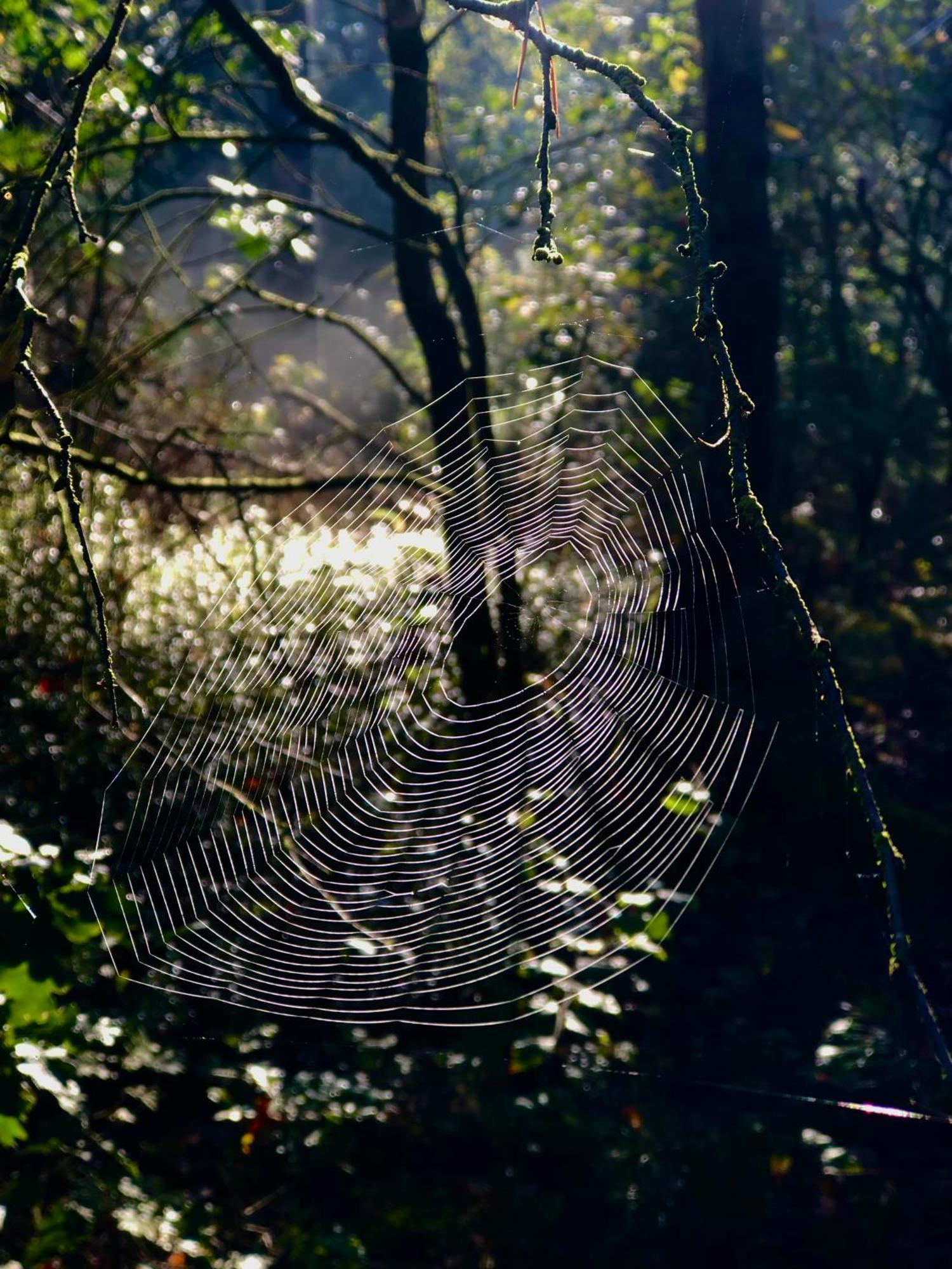 Het Natuurhuisje op de Veluwe Nunspeet Buitenkant foto