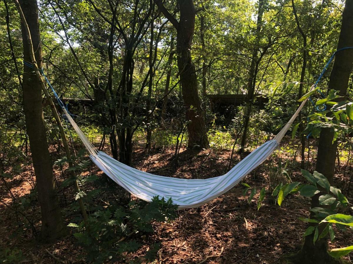 Het Natuurhuisje op de Veluwe Nunspeet Buitenkant foto